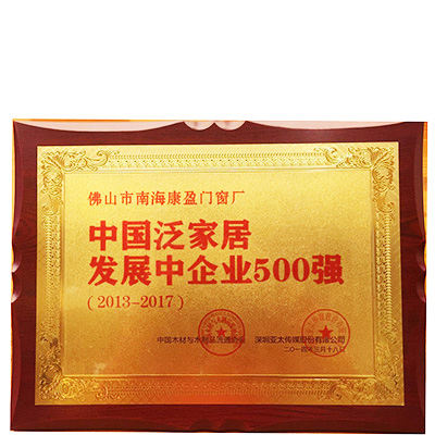 发展中企业500强